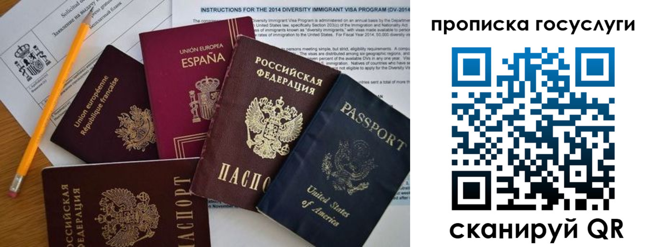 прописка гарантия в Дубовке